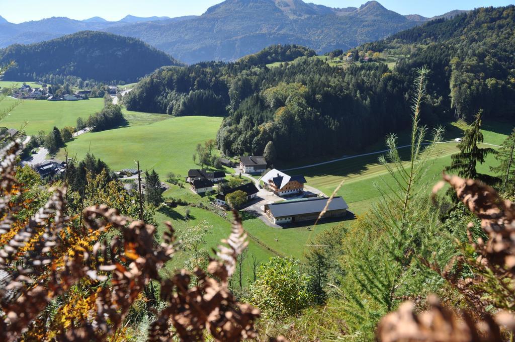 Ferienwohnung Dichtlbauer Sankt Gilgen Extérieur photo